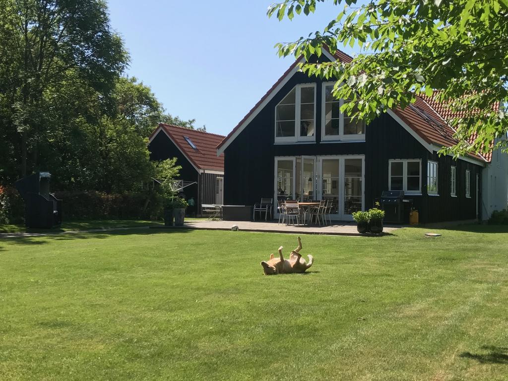 Lango Feriecenter - Sea View Eksteriør bilde